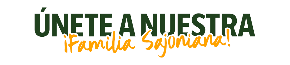 Admisión 2027 en el Colegio Jordán de Sajonia
